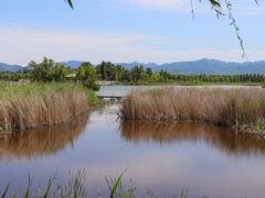 -野鸭湖国家湿地公园