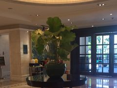 -福建鲤鱼洲酒店