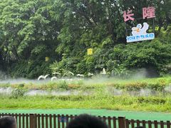 -广州长隆飞鸟乐园