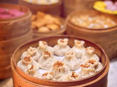 -国际青年会议酒店