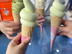 -萨朗刀克冰淇淋雪花凉(植物园店)