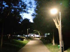 -东升文体公园