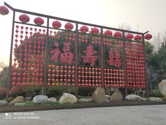 -合肥滨湖国家森林公园