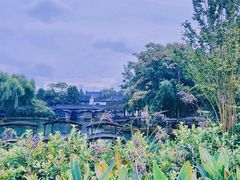 -乌镇西栅景区