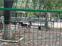 -长白岛森林公园