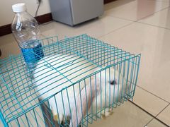 -老淳安—伴山伴湖(千岛湖开元度假村店)