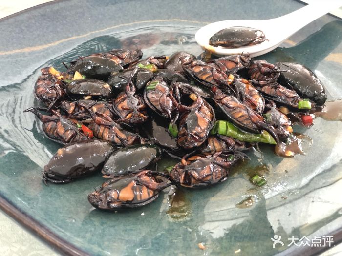 财记海鲜餐厅-水蟑螂图片-顺德区美食-大众点评网