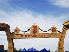 -金塔沙漠胡杨林景区