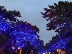 -北戴河东海水浴场