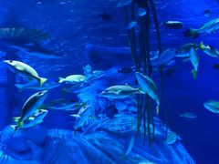 -沈阳海洋探索中心