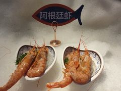 -乔哥铭洋海鲜自助(皇城恒隆广场店)