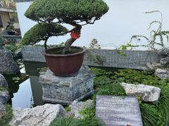 -水绘园