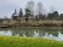 -桤木河湿地公园