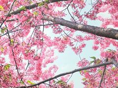 -白沙门生态公园