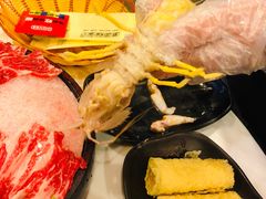 -鲜入围煮花胶鸡海鲜火锅