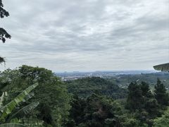 -成都老君山