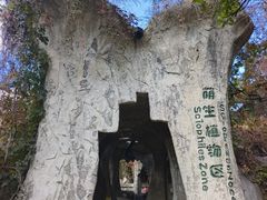 -沈阳植物园