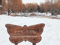 -柳荫公园
