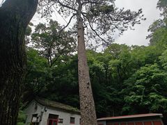 -北京上方山国家森林公园