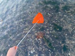 -威海国际海水浴场旅游区