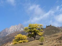 -芦芽山旅游度假区