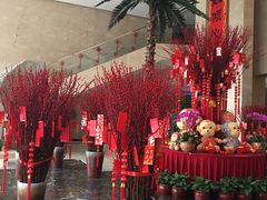 -常州环球恐龙城维景国际大酒店