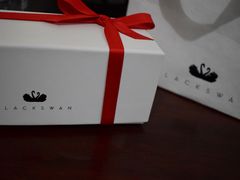-BLACKSWAN黑天鹅(环球店)
