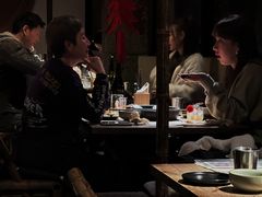 -毛辣果·酸