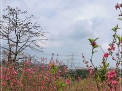 -水濂山森林公园