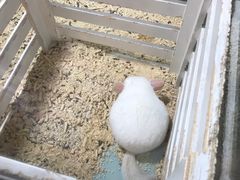 -宠物世家(仲盛世界商城店)