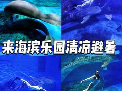 -烟台海昌鲸鲨海洋公园