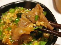 新西兰肥牛-独食火锅·半米屋台(直营总店)