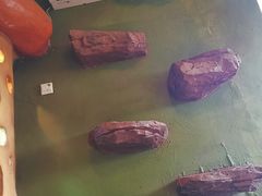 -猫猫幼稚园·撸猫·桌游·电玩