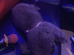 -钻石量贩KTV(花都广场店)