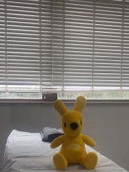 -上海首尔丽格医疗美容医院