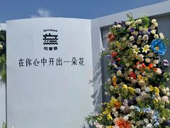 -武汉知音号