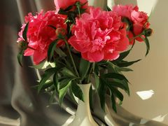 -上海科技馆(地铁站)