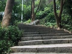 -仙岳公园
