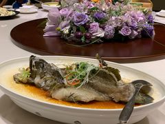 果皮丝蒸老虎斑-娱筷海鲜酒家(广州南沙店)