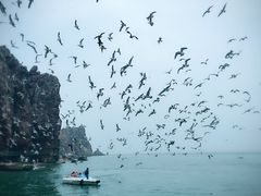 -海驴岛(荣成市)