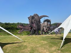-天目湖涵田度假村