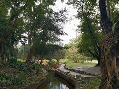 -荔枝公园(福田区)