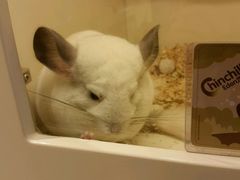 -龙猫仔乐园(惠福东路店)