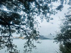 -麦考利夫人座椅