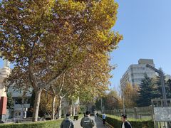 -西安交通大学(雁塔校区)