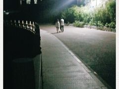 -东澳岛