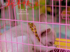 -鹏欣水游城