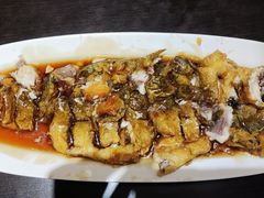 -老牌坊鲁菜名店(聊城美食岛店)