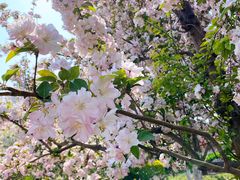 -元大都城垣遗址公园