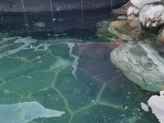 -东山湖温泉度假村
